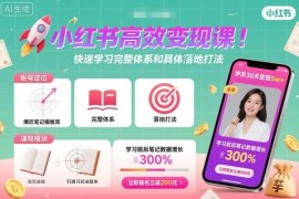 小红书高效变现系统课 全体系运营逻辑与落地打法详解