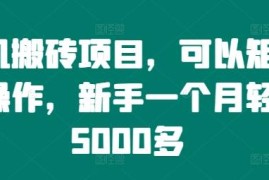 可矩阵操作的手机搬砖项目详解 新手入门每月可赚5000+