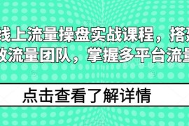 2024线上流量操盘实战课程 搭建高人效团队掌握多平台获客方法