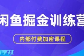 闲鱼掘金训练营实操教程 双重变现引流小白也可轻松上手