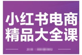 2025小红书电商运营全教程 从开店选品到引流爆单实操教学