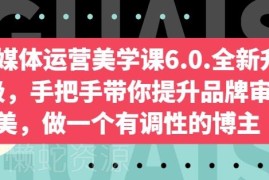 自媒体运营美学课6.0全新升级 手把手教博主提升审美打造高调性账号