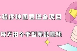 抖音神图君小程序撸金项目全攻略 手机拍手型挂载即可赚收益