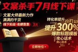 文案杀手7月六周年线下课 创始人钞能力大课全套学习资源