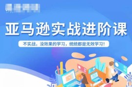 实战型亚马逊FBA运营进阶课 涵盖选品广告运营全流程实操