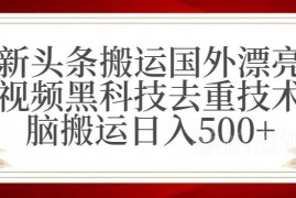 今日头条搬运国外美女视频去重技术 低门槛副业操作收益详解
