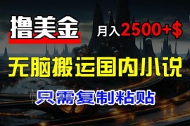 搬运国内小说爽文赚美金项目 新手可上手月入2500+美金实操方法