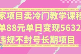 售卖冷门教学课程一单88元 低门槛长期副业实操玩法揭秘