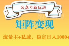 公众号软件分享实操攻略 私域引流+网盘拉新多渠道变现教程