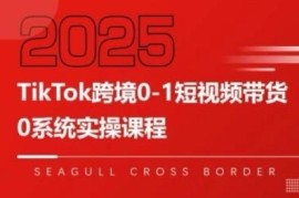 TikTok跨境0-1短视频带货全链路拆解 教你实现跨境可持续盈利