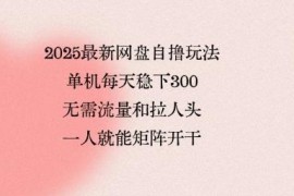 2025最新网盘自撸玩法 无需引流拉新单人可矩阵稳获收益
