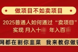 2025普通人卖项目赚钱攻略 低门槛年入百万实操路径解析