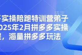 2025拼多多实操陪跑特训营弟子班 全链路运营玩法干货汇总