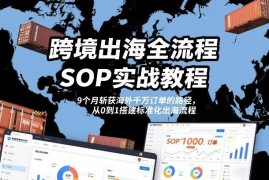 跨境出海全流程SOP实战教程 从0到1搭建标准化体系斩获海外订单