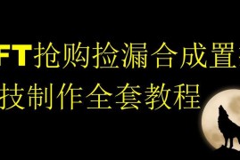 零基础NFT抢购捡漏合成置换科技制作全套实操教程
