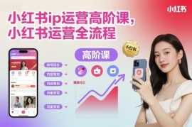 小红书IP运营高阶课程 全流程账号搭建到变现实操教学