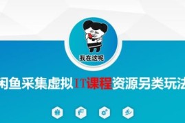 闲鱼虚拟IT课程资源变现实操 附资源采集完整玩法教程