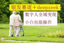 银发赛道搭配DeepSeek数字人全域变现教程 小白也可轻松操作