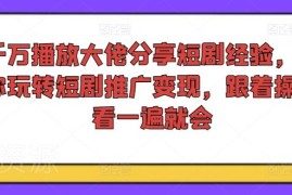 2024千万播放短剧从业者实操经验 短剧推广变现全流程教程