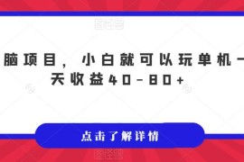 适合零经验小白操作的低门槛单机副业 单日收益40-80元玩法揭秘