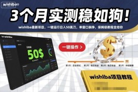 wishlba海外撸金项目3个月实测 无门槛一键运行日入50美刀保姆级教程