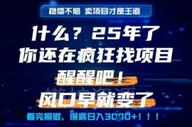 2025年普通人创业方向解析 做知识付费卖项目比实操项目更赚钱