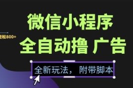 2025微信小程序全自动撸广告项目 零门槛新手可做附流量解决方案