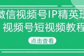 微信视频号IP精英班教程 零基础学短视频运营与变现