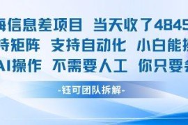 蓝海AI信息差副业项目拆解 小白可操作支持自动化当天获收益