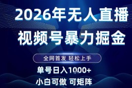 2026视频号无人直播赚钱玩法 小白可上手长期稳定获取收益