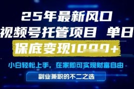 2025年视频号托管代运营项目 新手零操作日入过千玩法详解