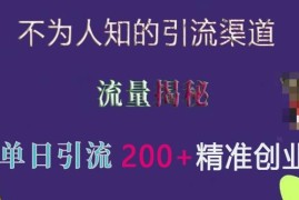2024QQ频道引流创业粉实操方法 实测单日获200+精准用户
