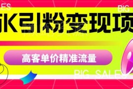 商K引粉变现项目实操玩法 高客单价精准流量获取方法揭秘