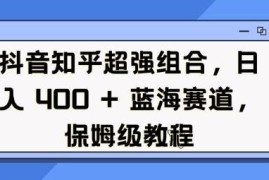 抖音知乎联动蓝海项目保姆级教程 手机操作小白也能上手变现