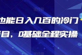 0基础可操作冷门DIY项目详解 新手入门长期变现玩法指南