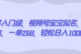 无需玄学基础的视频号宝宝起名项目 0成本单客268起可长期运营