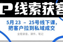 IP线索获客5月线下课录音课件笔记 含私域成交获客实操方法