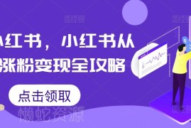 小红书从0到1涨粉变现全攻略 新手运营入门实操指南