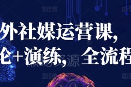 海外社媒运营全流程教学课程 理论+演练覆盖跨境获客变现技巧