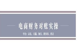 京东天猫淘宝拼多多抖音全平台电商财务对账实操教程