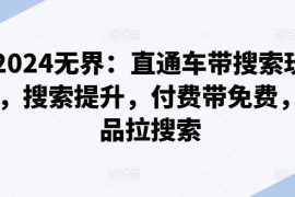 2024无界直通车带搜索玩法 付费带动免费流量爆品拉搜索技巧