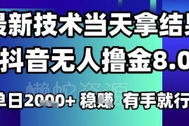 2025年6月最新抖音无人撸金8.0玩法 零门槛单日收益可达1k+