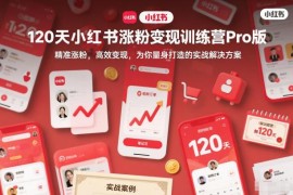 2025版120天小红书涨粉变现Pro训练营 博主实操全攻略