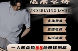 一人创业起盘底层逻辑 私域电商实体获客36种实用赚钱思路