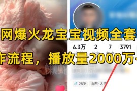AI龙宝宝短视频全套操作流程 高播放涨粉变现玩法详解