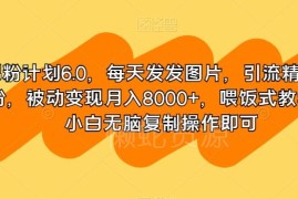 男粉计划6.0实操教程 零基础引流精准男粉被动变现全攻略