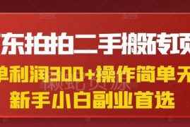 京东拍拍二手搬砖项目实操教程 新手高利润兼职副业入门指南