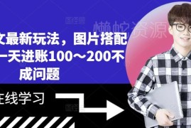 2024小说推文最新实操玩法 图片搭配文案单日收益可达100到200元