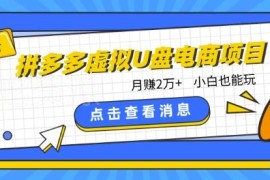 拼多多虚拟U盘电商项目玩法 新手低门槛可落地获利实操指南