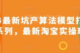 2024最新淘宝坑产算法实操玩法 新品起量老品流量突破教程